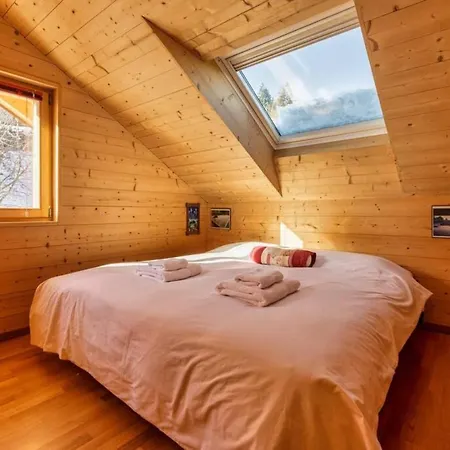 Chalet Tetra New Chalet For 10 2 Indoor Parking Spots 木屋 *