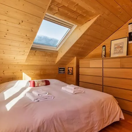 Chalet Tetra New Chalet For 10 2 Indoor Parking Spots 木屋